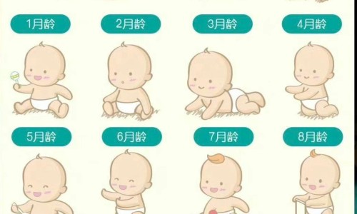 婴儿能吃米粉吗？育儿专家详细介绍