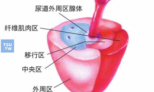 南水梨介绍-南水梨的功效和作用,中国南水梨的功效网站