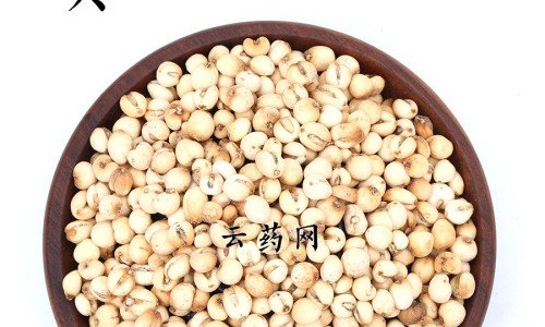 南水梨介绍-南水梨的功效和作用,中国南水梨的功效网站